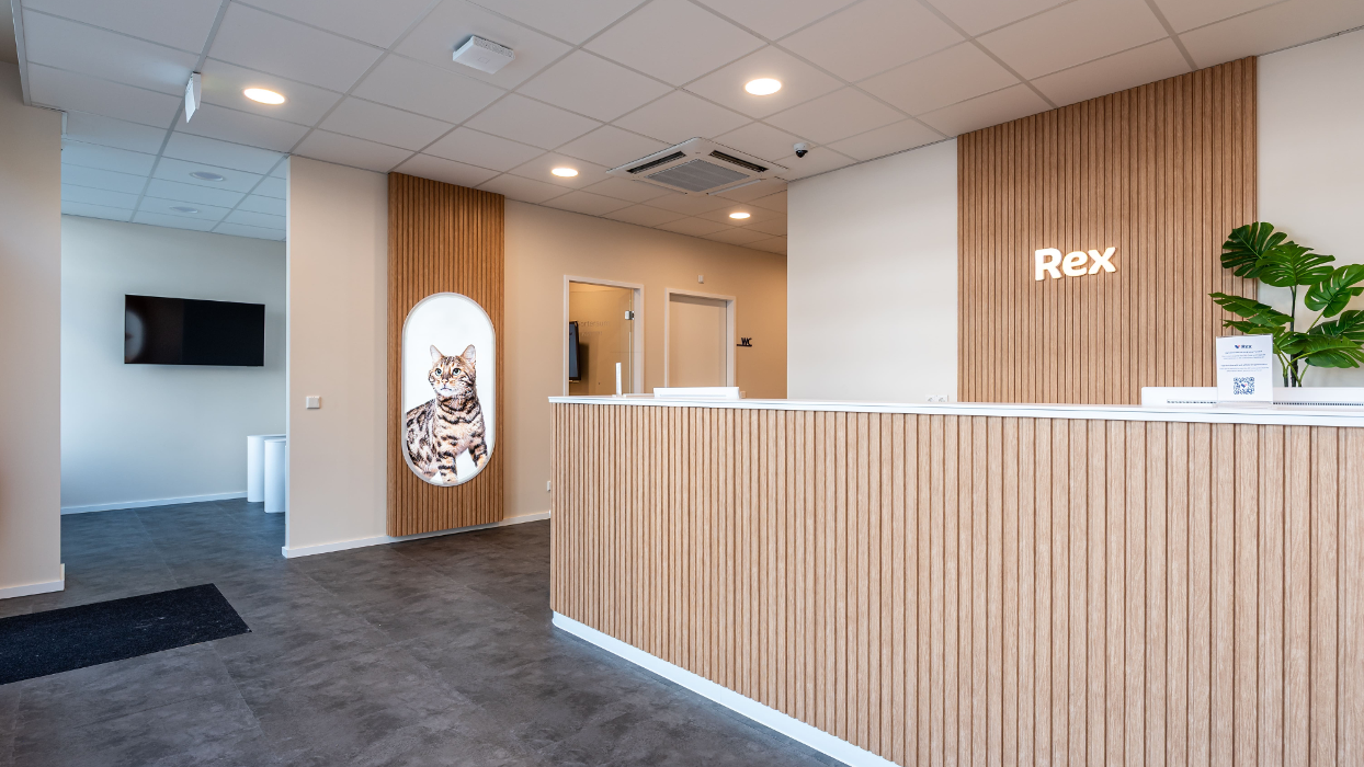 Rex Tierarztpraxis Frankfurt-Ostend, Wittelsbacherallee in Frankfurt am Main