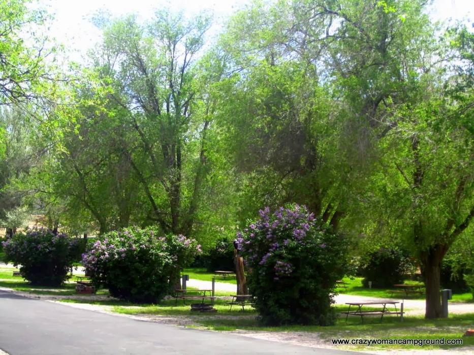 Green Tree's Crazy Woman Campground Image