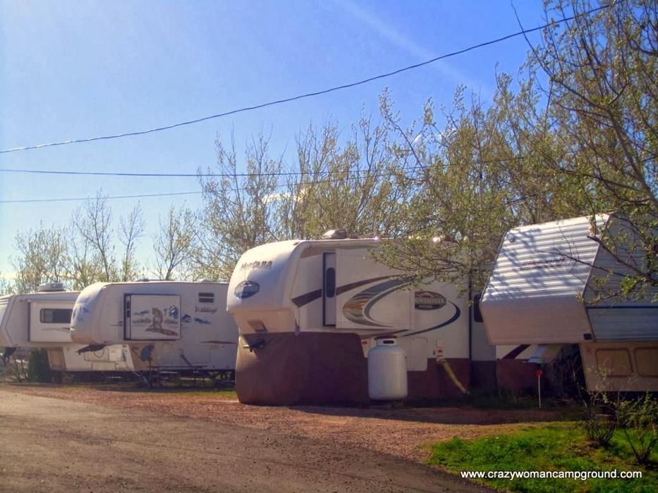 Green Tree's Crazy Woman Campground Logo