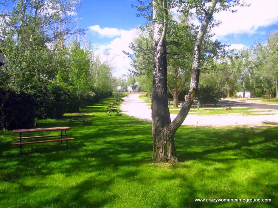 Green Tree's Crazy Woman Campground Image