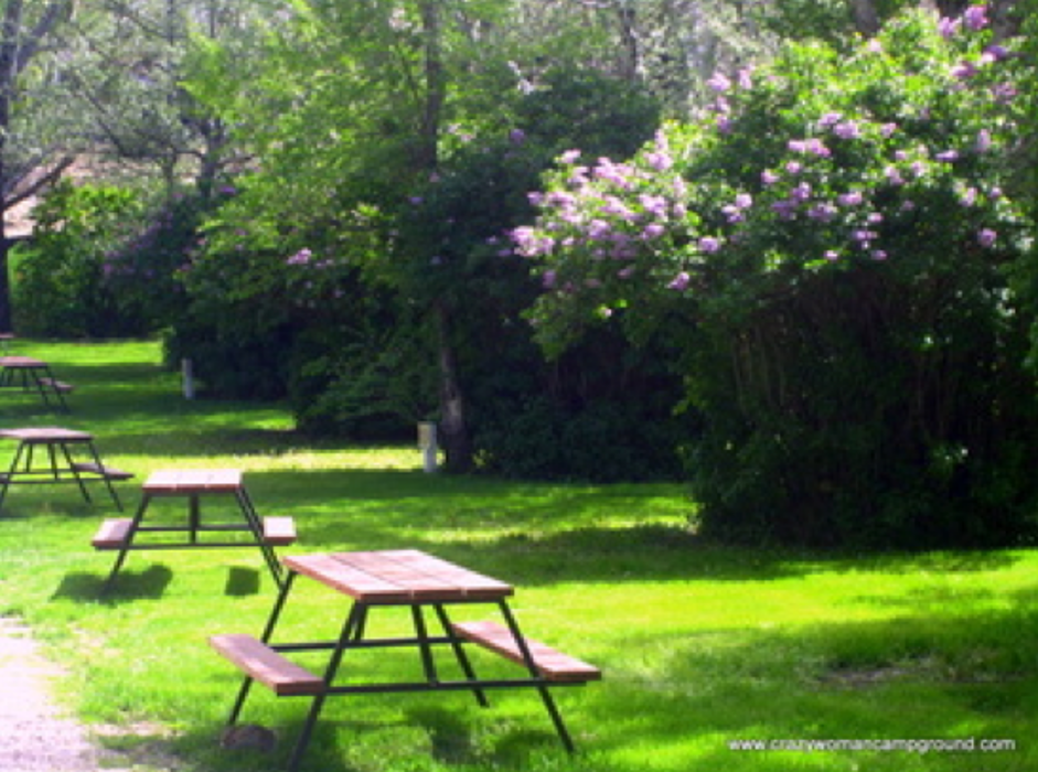 Green Tree's Crazy Woman Campground Image