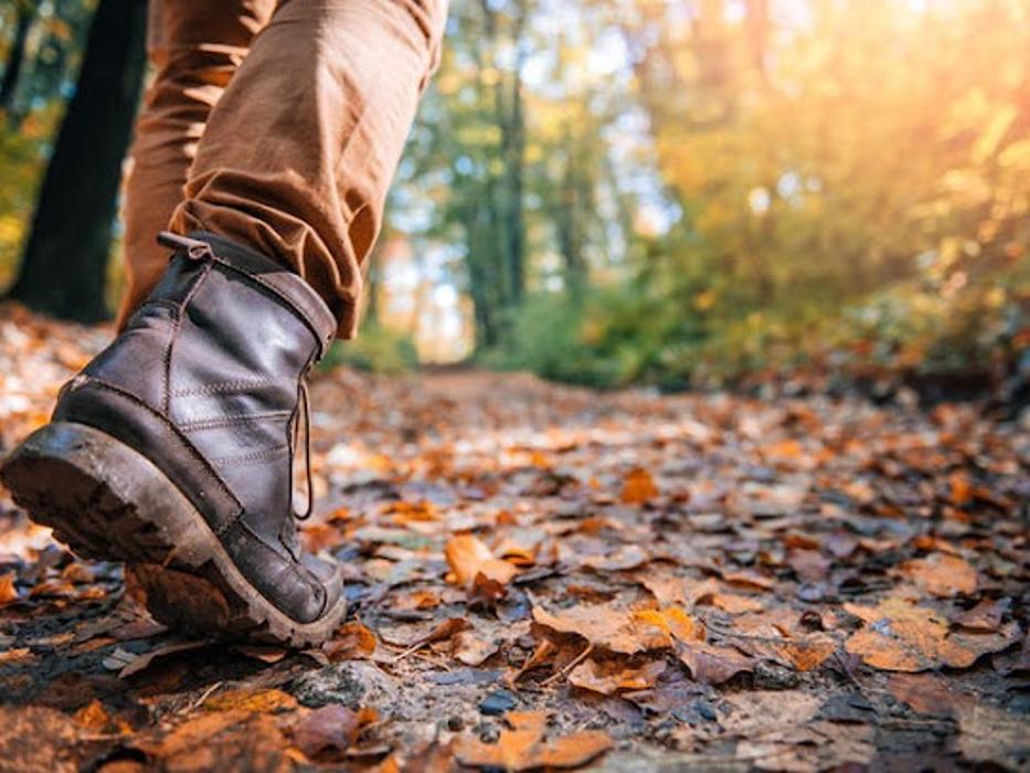 Hoyal Podiatry: James I Hoyal DPM - Orem, UT