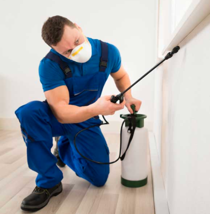 Jolly Roger Pest Control - Stafford, VA