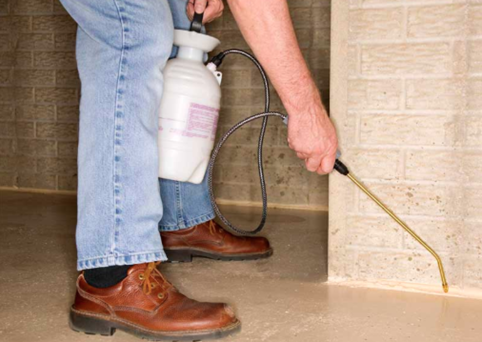 Jolly Roger Pest Control - Stafford, VA