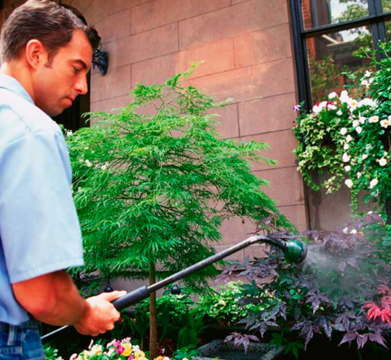 Jolly Roger Pest Control - Stafford, VA