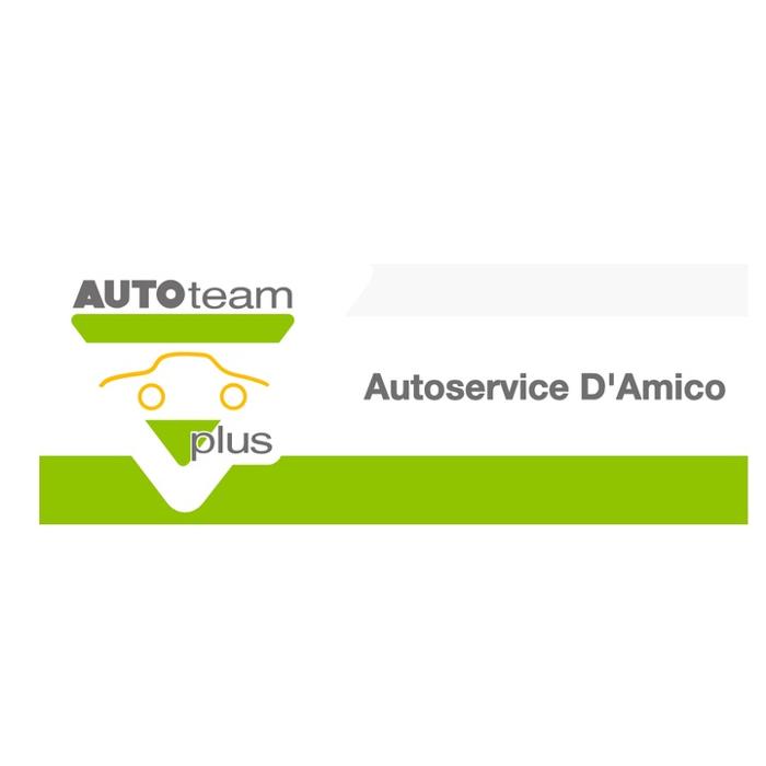 Auto-Service D'Amico Inh. Scharbel Abdel Ahad in Florstadt