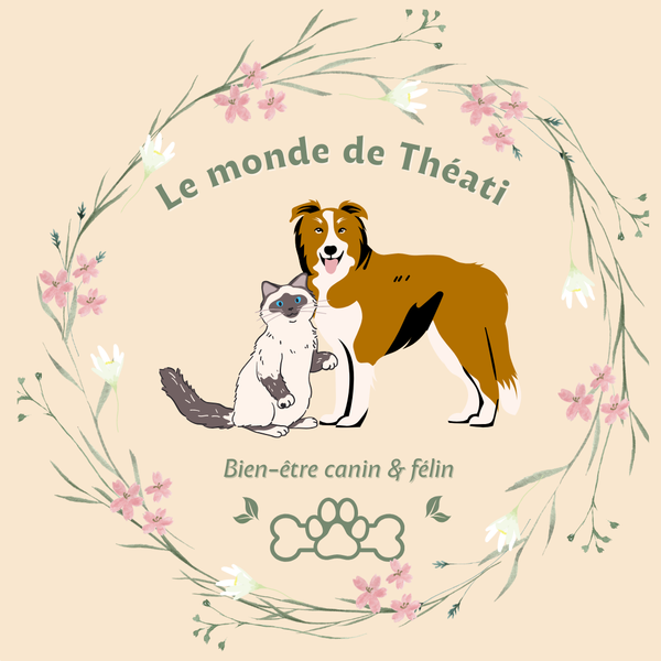 Le Monde de Théati