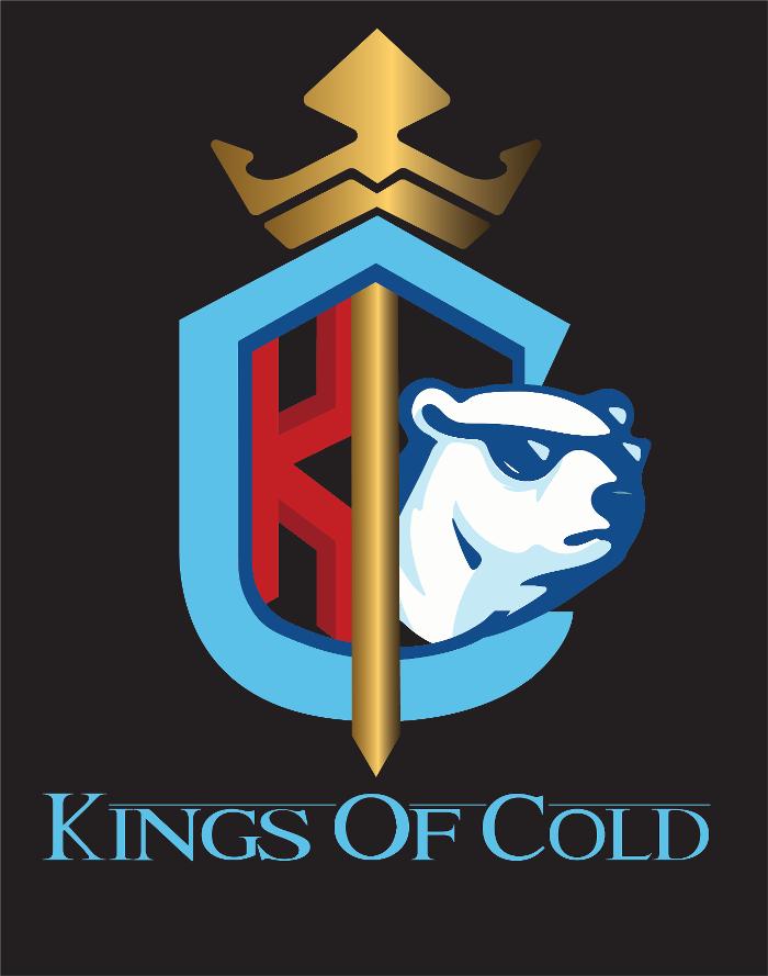 Kings of Cold Air Conditioning & Refrigeration LLC - Orlando, FL