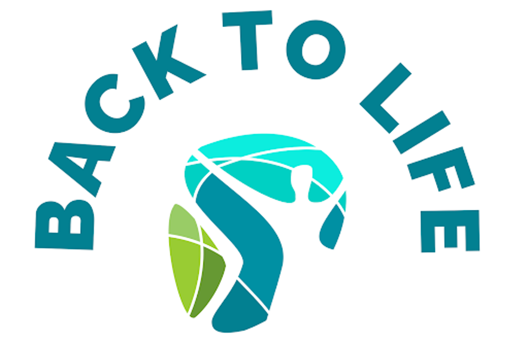 Back To Life Chiropractic & Wellness Image