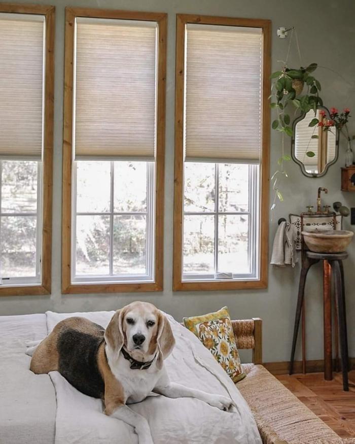 Arizona Blinds Express Image