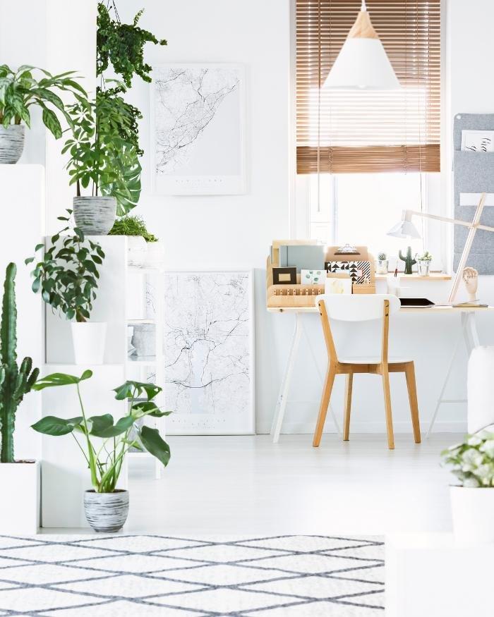 Arizona Blinds Express Image