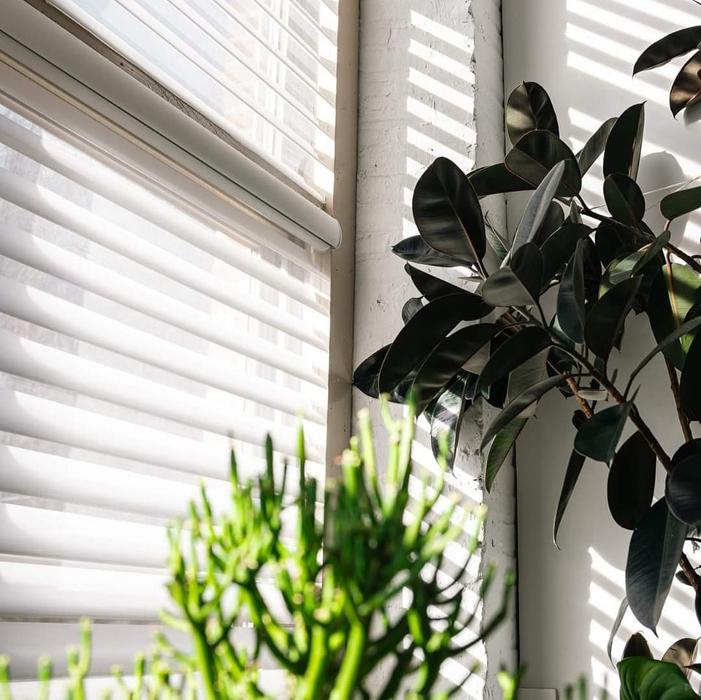 Arizona Blinds Express Image