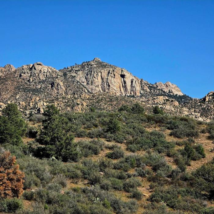 Arizona Distilling Co. Image