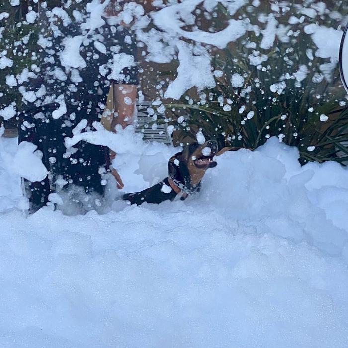 Bay Area Foam Parties Logo