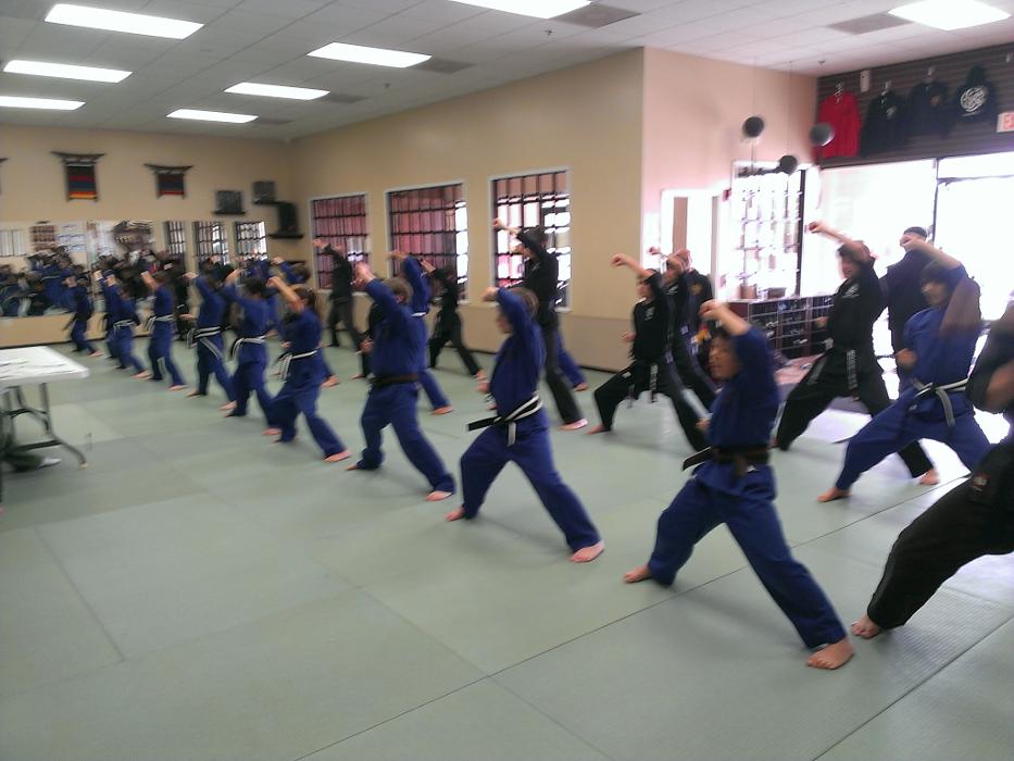 Bushi Ban Martial Arts & Fitness - Pearland, TX