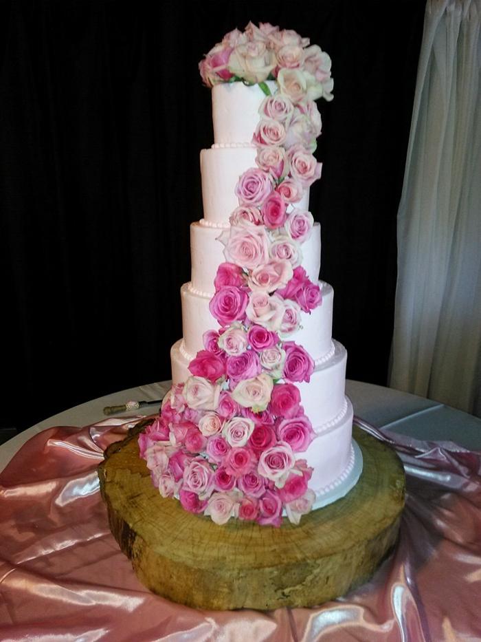 Cheesecake Royale Bakery - Dallas, TX