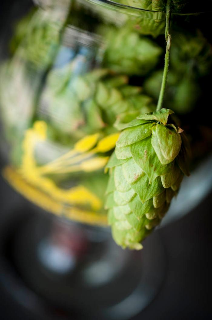 Comrade Brewing Company - Denver, CO