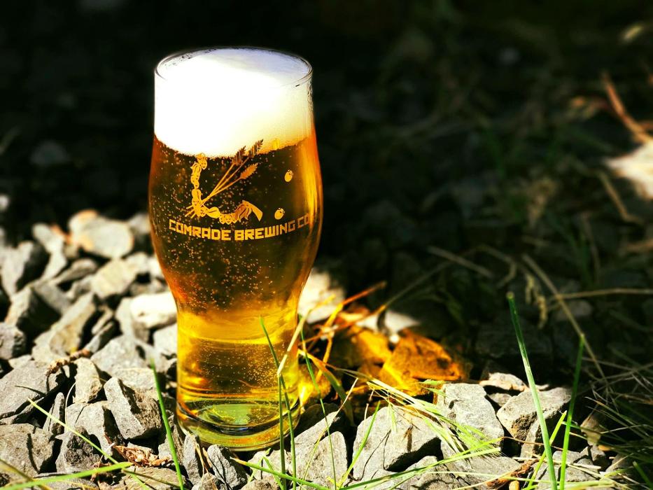 Comrade Brewing Company - Denver, CO