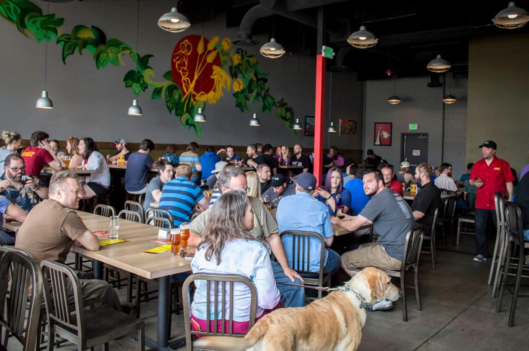 Comrade Brewing Company - Denver, CO