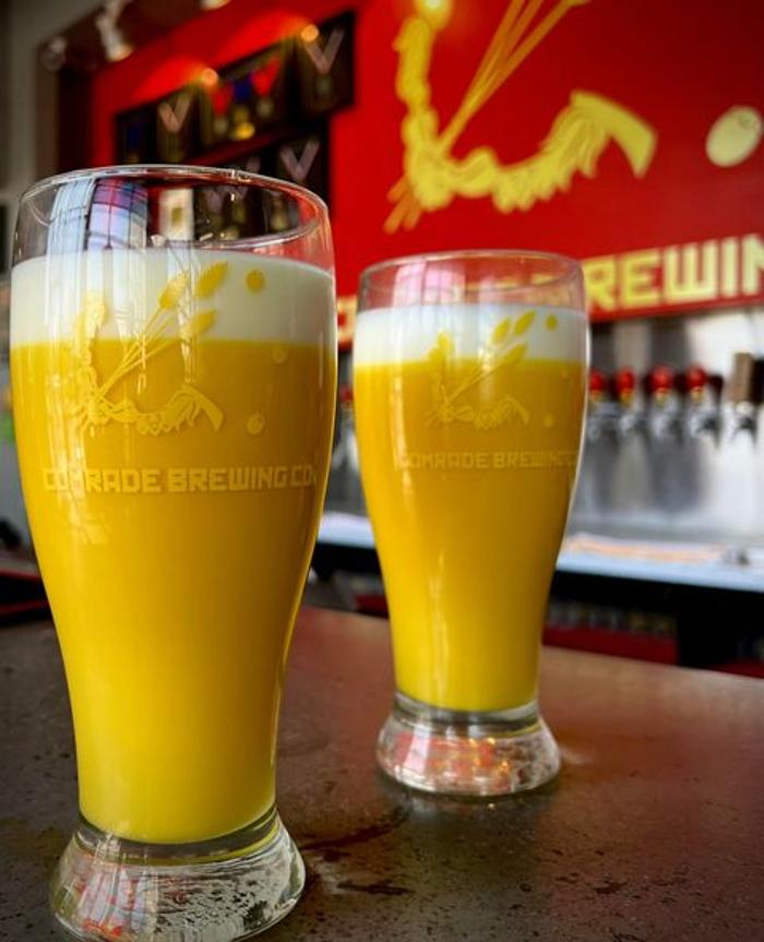 Comrade Brewing Company - Denver, CO