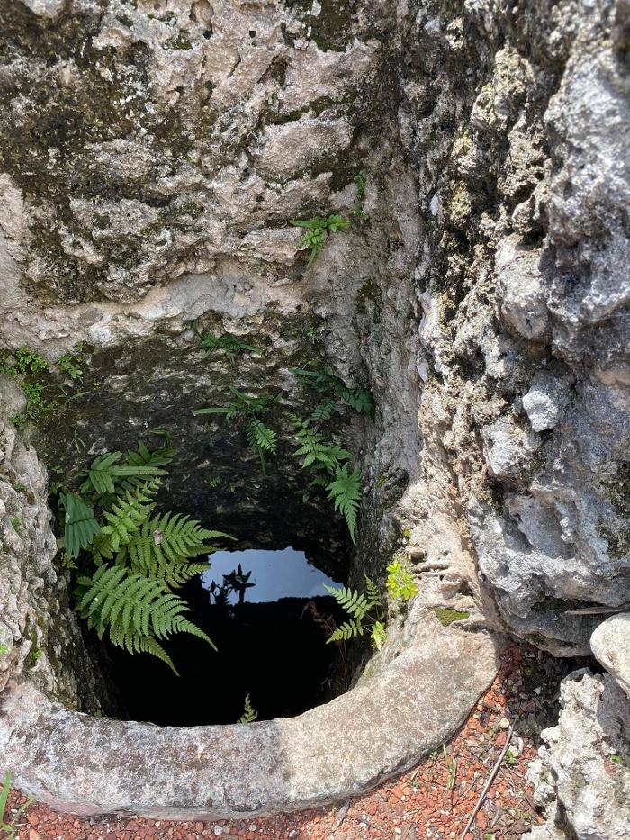 Coral Castle - Homestead, FL