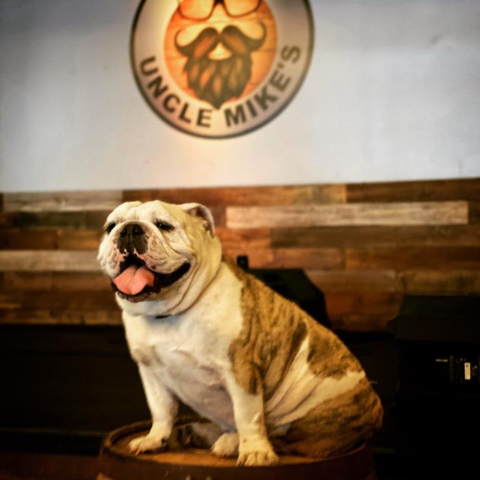 Crazy Uncle Mike's Image