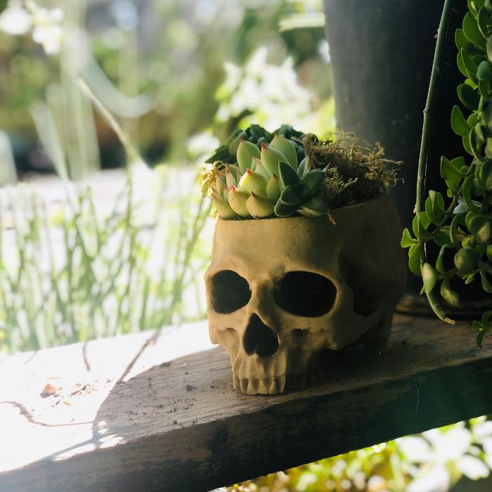 Dig It Gardens Image