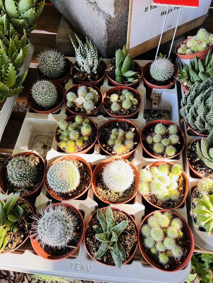 Dig It Gardens Image