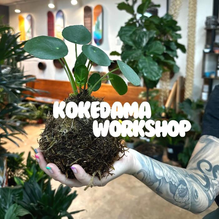 Dig It Gardens Image