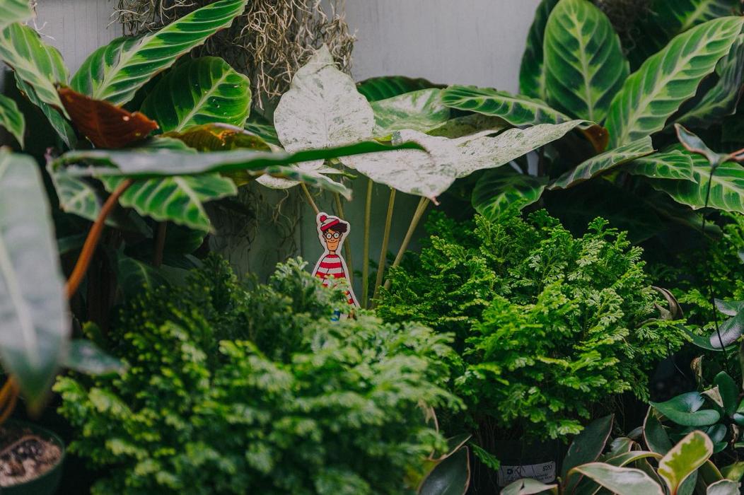 Dig It Gardens Image