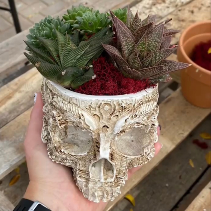 Dig It Gardens Image