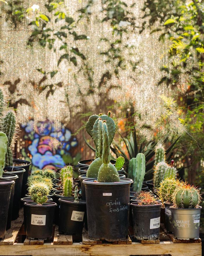 Dig It Gardens Image