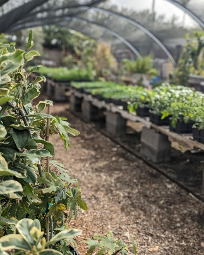 Dig It Gardens Image