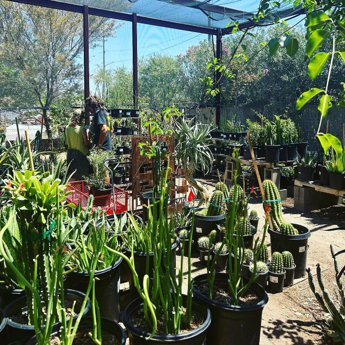 Dig It Gardens Image