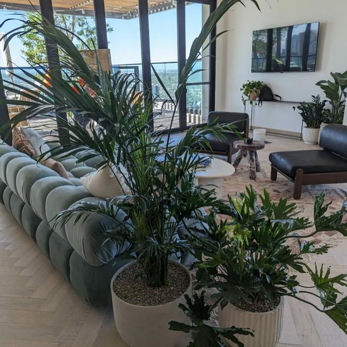 Dig It Gardens Image