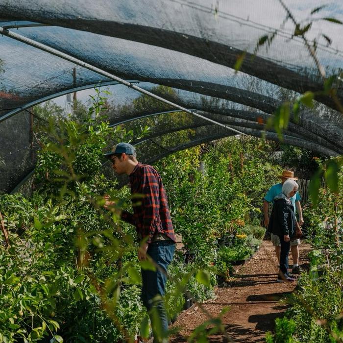 Dig It Gardens Image