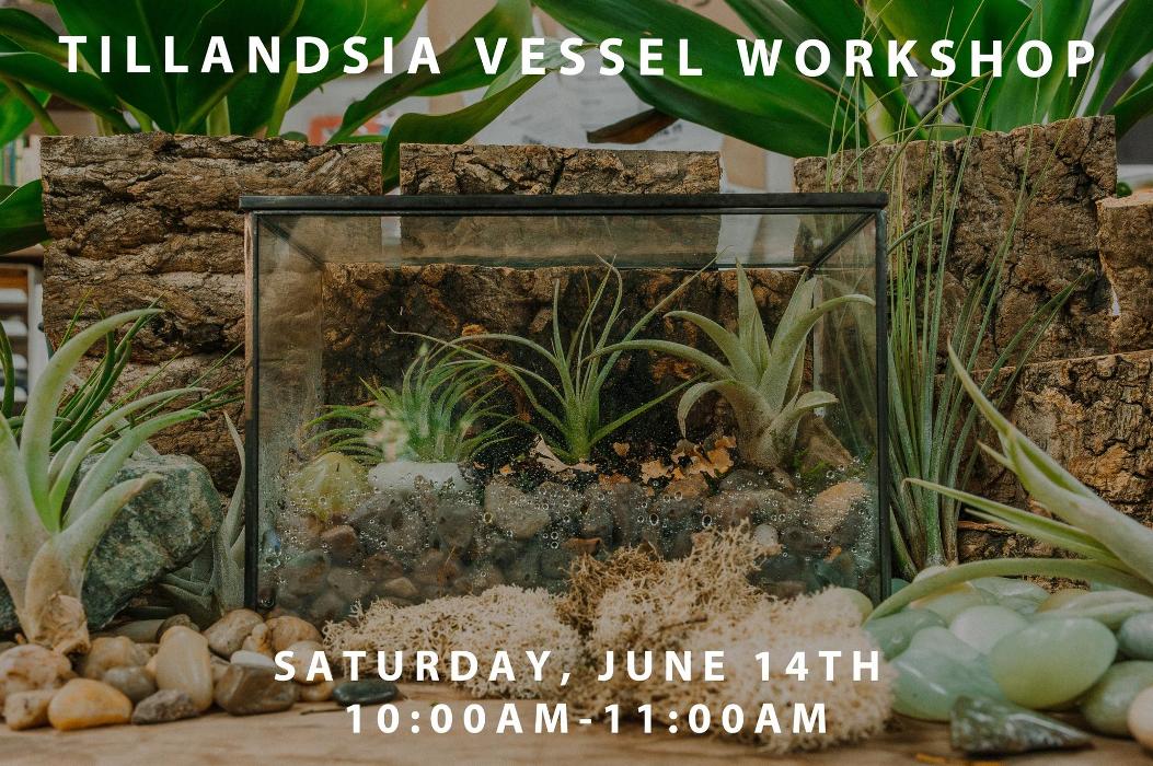 Dig It Gardens Image