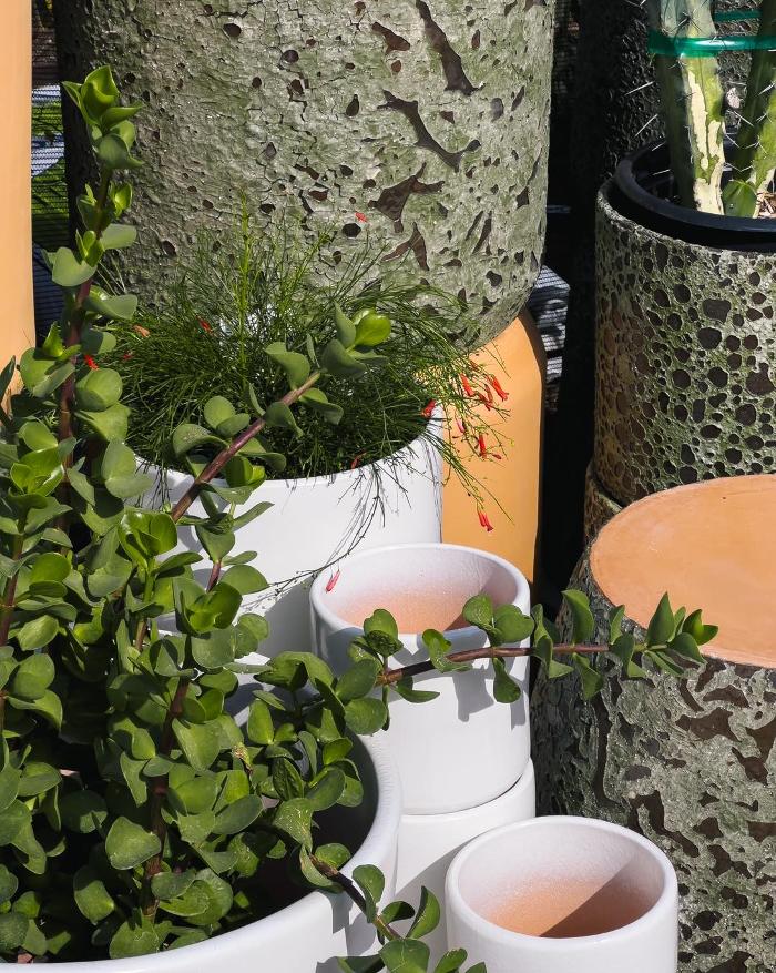 Dig It Gardens Image