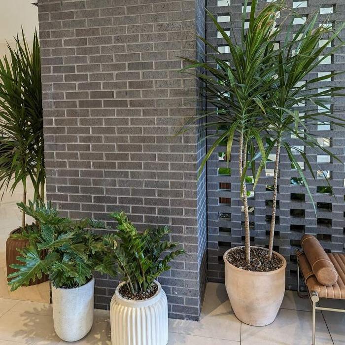 Dig It Gardens Image