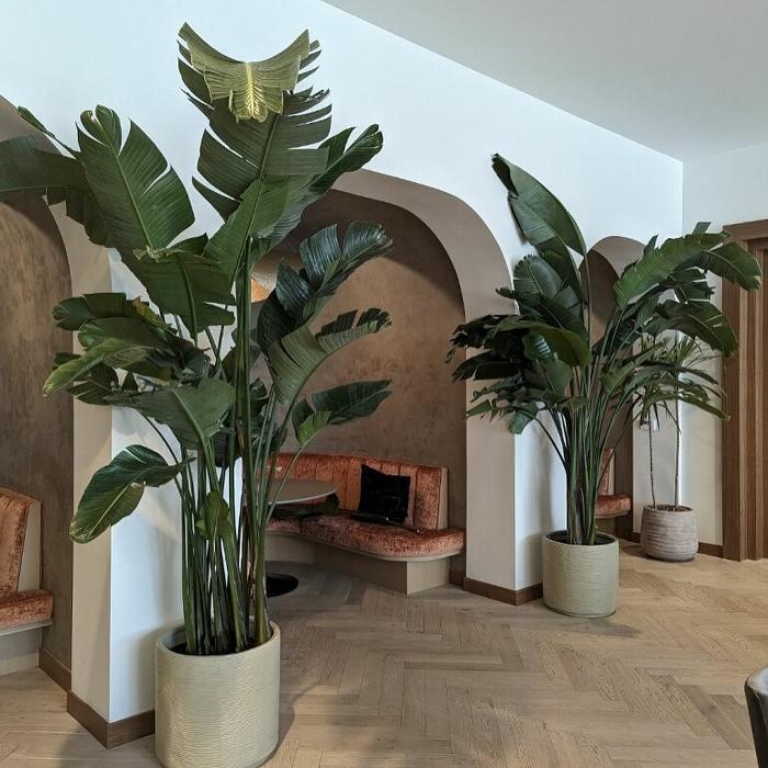 Dig It Gardens Image