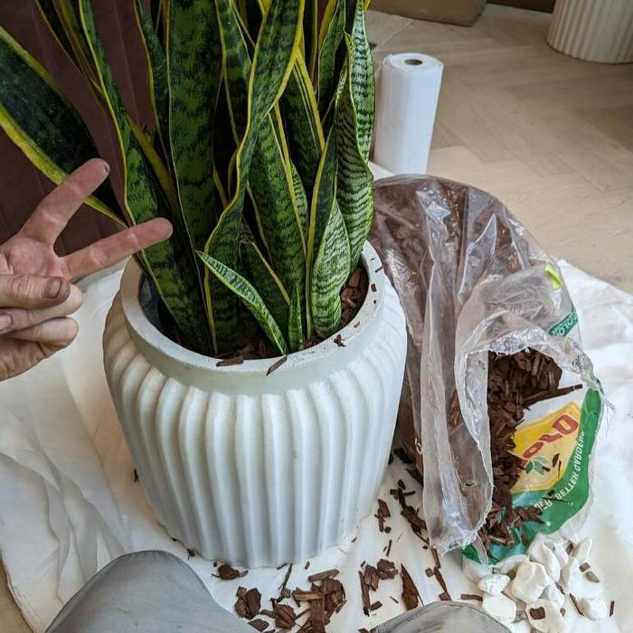 Dig It Gardens Image