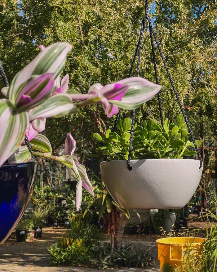 Dig It Gardens Image