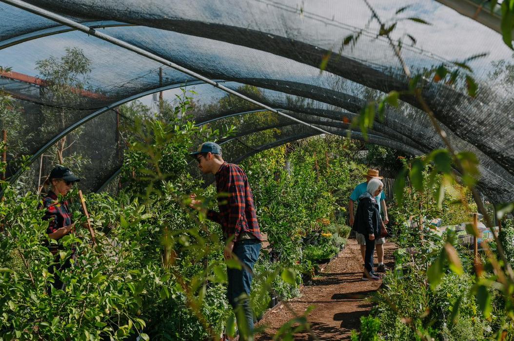 Dig It Gardens Image