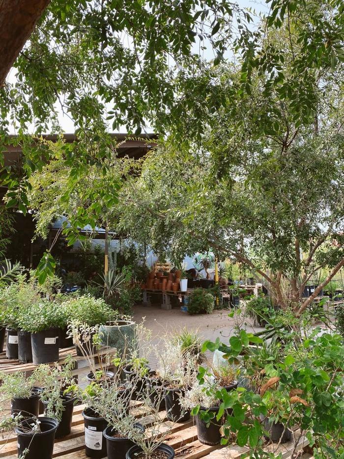 Dig It Gardens Image