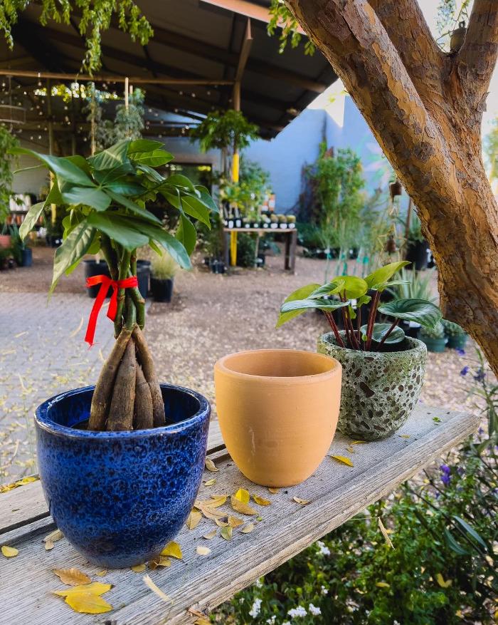 Dig It Gardens Image