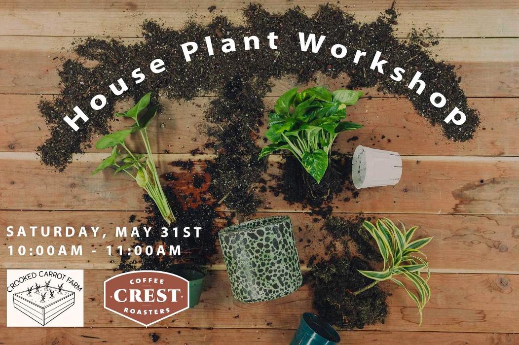 Dig It Gardens Image