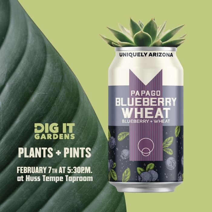 Dig It Gardens Image