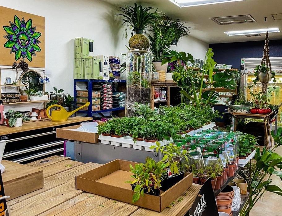 Dig It Gardens Image