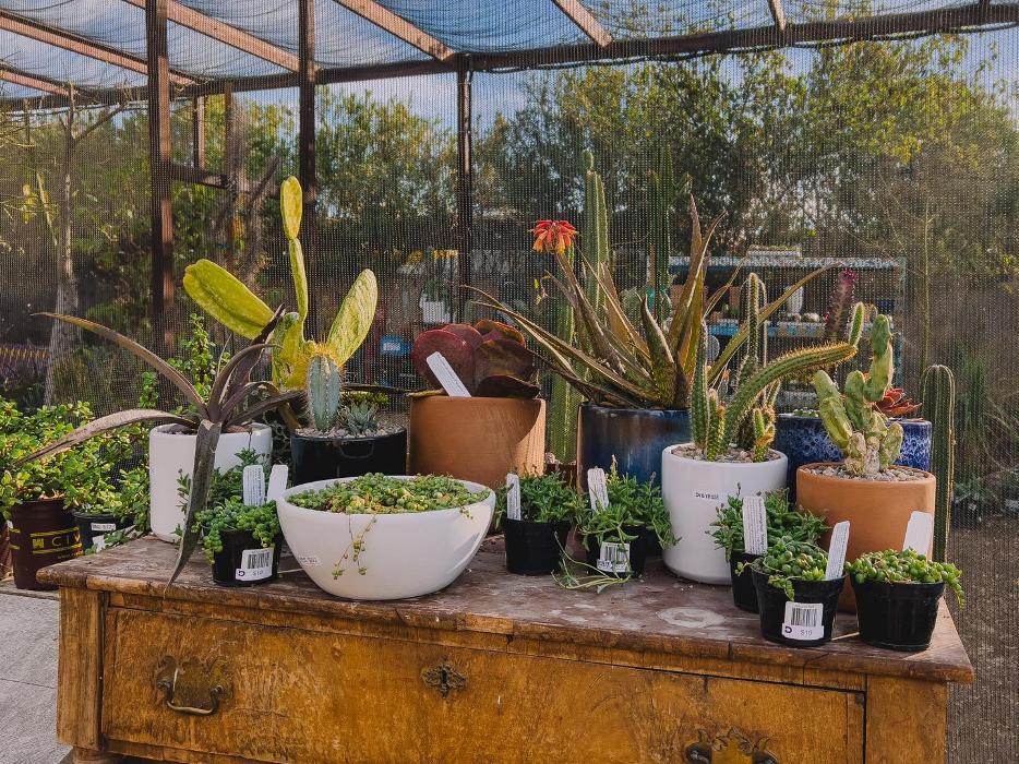 Dig It Gardens Image