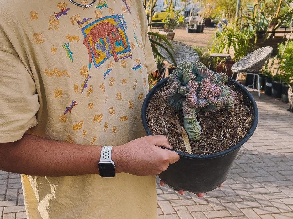 Dig It Gardens Image